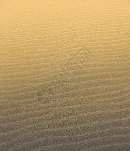 沙丘海岸波纹由太阳照亮的平洋海滩上抽象波浪线纹理和一空角图片