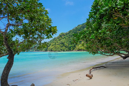 山泰国素林岛热带屿海泰国苏林岛洋美丽图片