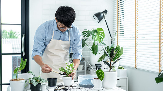 男园丁使用铲子移植植物图片