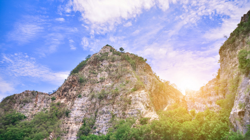 在山河日落背景下旅行顶峰高的树图片