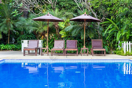 闲暇夏季在游泳池旁边放轻松的椅子其树木和植物背景位于住宅花园和蓝水中并有树木和植物背景旅行现代的沙发高清图片素材
