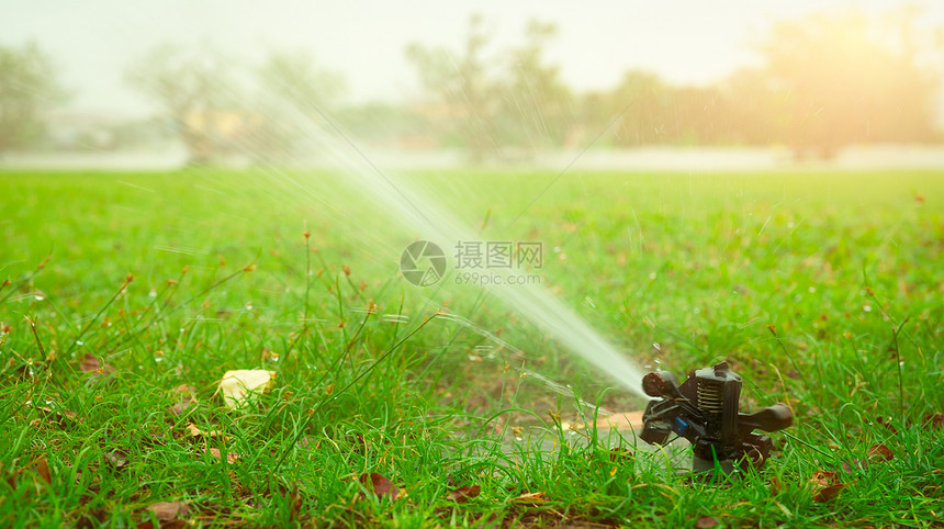 花园农业住宅为绿草园庭院灌溉系统供水的自动草坪喷洒灭水器为绿草地浇水节约或保护来自喷洒系统的水松树农场企业Sprinkler服务图片
