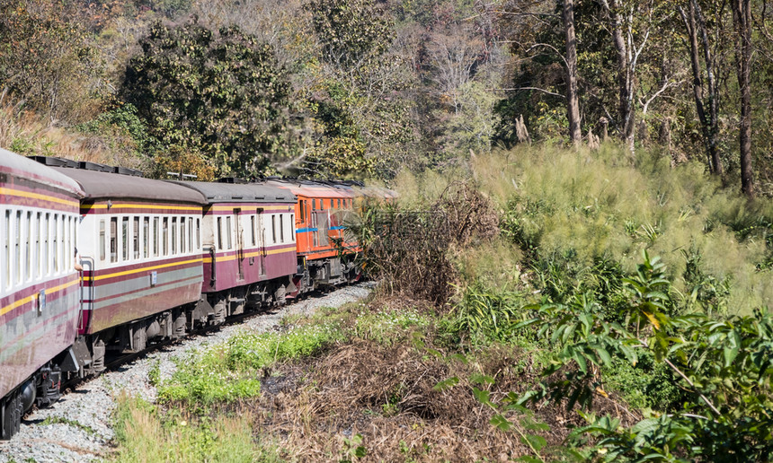 乘客轨风景特快列车正通过泰国北部家公园乘柴油电动机车前往高山ThaiWestthern图片