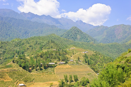 栽培越南萨帕的米田梯山区景象文化印度支那图片