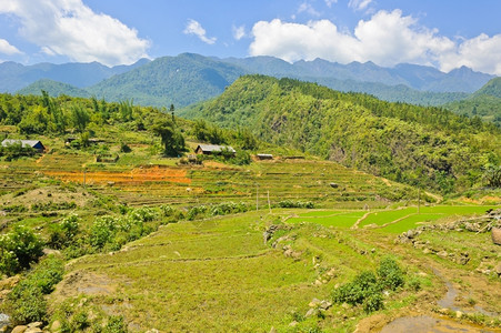 土地越南萨帕的米田梯山区景象食物文化图片