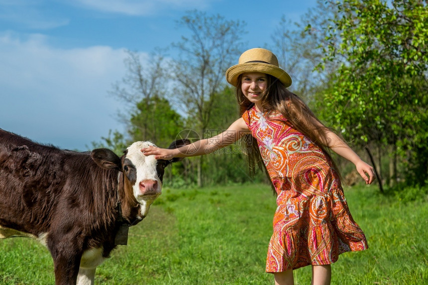 自然草年轻的小女孩在田里打牛阳光明媚的白天小姑娘在田里打牛图片
