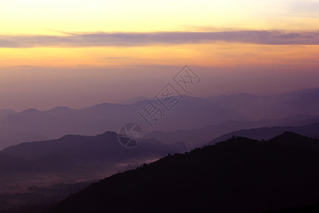 花的傍晚太阳下山风景仙境自然图片