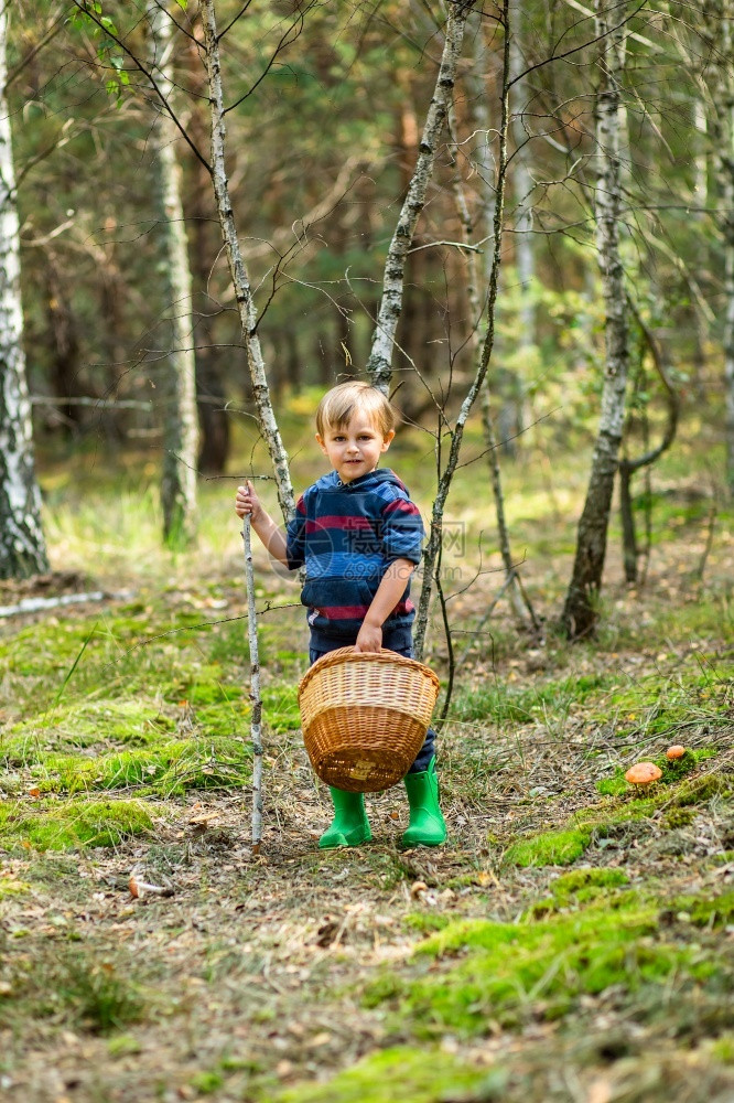 孩子们拄着拐杖在森林里散步采蘑菇孩子们拄着拐杖在森林里散步姐走自然图片