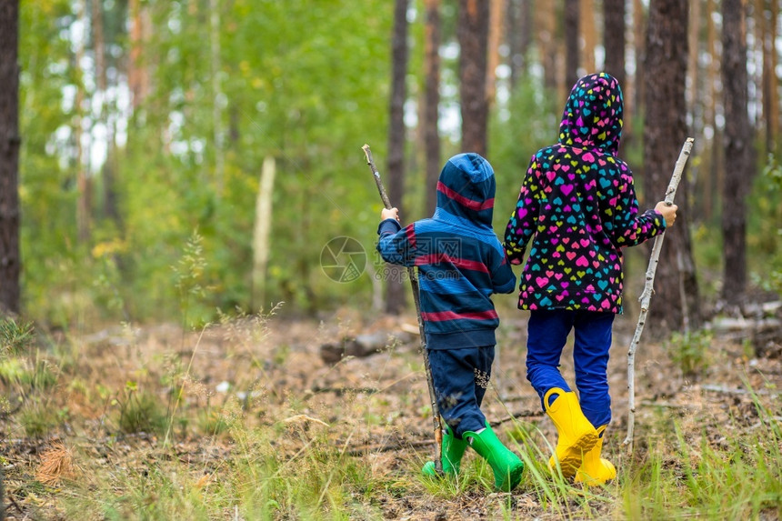 孩子们拄着拐杖在森林里散步采蘑菇孩子们拄着拐杖在森林里散步徒旅行背包图片