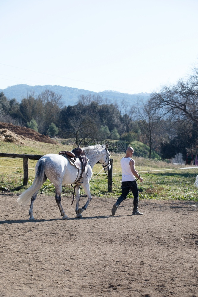 关怀后部男一个秃头牛仔骑着白马走路的背影图片