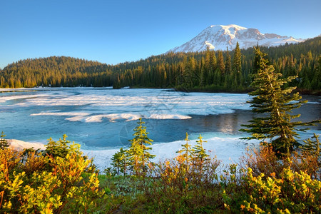 宁静人们公吨美国华盛顿州兰尼埃山公园冷冻反射湖和雷尼尔山美国华盛顿州美丽高清图片素材