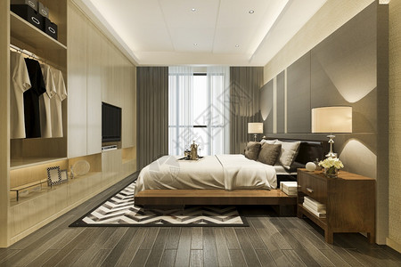 酒店3d提供豪华的现代卧室套房电视机配有衣柜和在中行走沙发美丽的图片