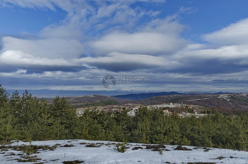 云天冬季山雪地住宅区从Planta山到巴尔干或保加利亚欧洲的Stara平原的松木林和衰落森的大观景正面屋图片
