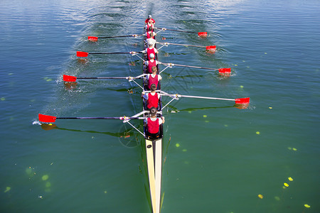 努力赛艇运动员量在蓝湖上划船的八艘轮背景图片