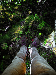 男子的腿在森林中站立绿色鞋带人们图片