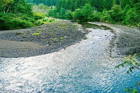 河流来自森林地表宽阔的水面风景公园图片