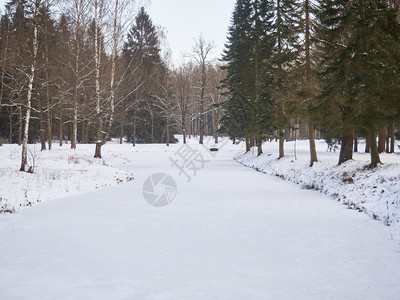 冰冻的河流沿岸有树木蓝色的自然十二月寒冷的高清图片素材
