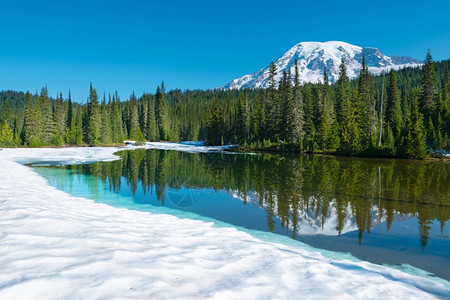 地标雪美国华盛顿州兰尼埃山公园反射湖和雷尼尔山美国华盛顿州风景优美树高清图片素材