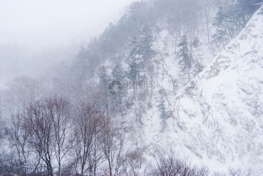 旅行景观平静的雪覆盖山和秃头树图片