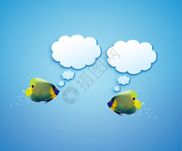 朋友天使鱼面对的社交网络与言语泡沫鱼缸商业图片