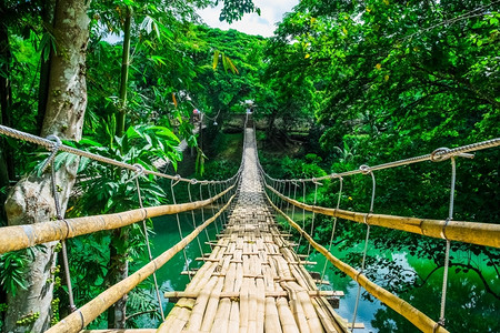 森林木制悬浮桥树走道菲律宾Bohol热带森林河上悬浮桥菲律宾博霍尔热带森林背景