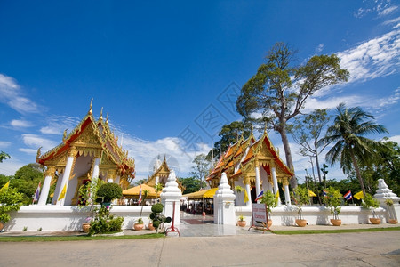 废墟泰国大城府的Wat佛塔祈祷图片
