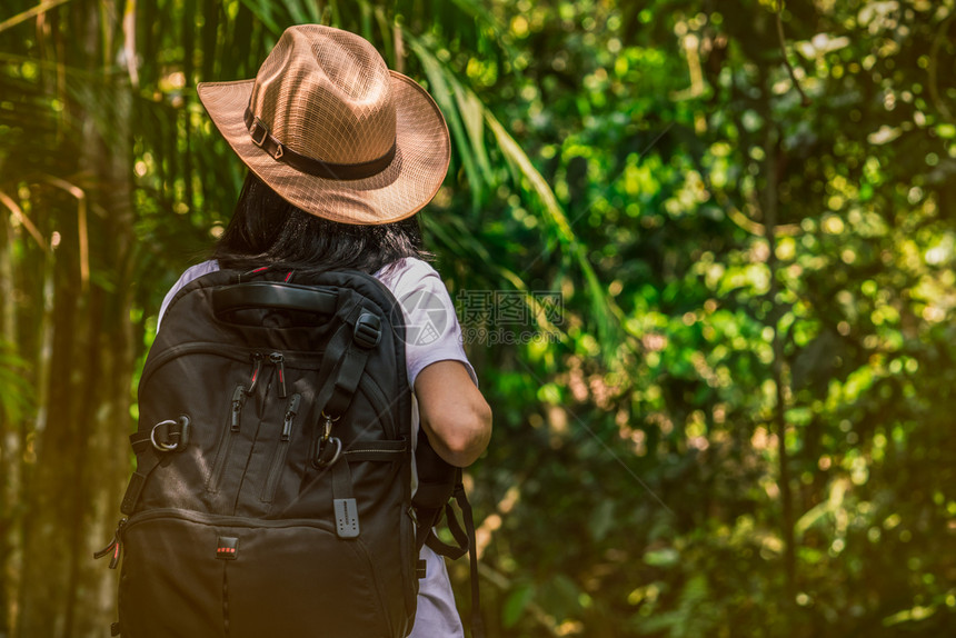 独自的然带着帽子和背包站在常青林中的女游客独自年轻女旅行者享受成人图片