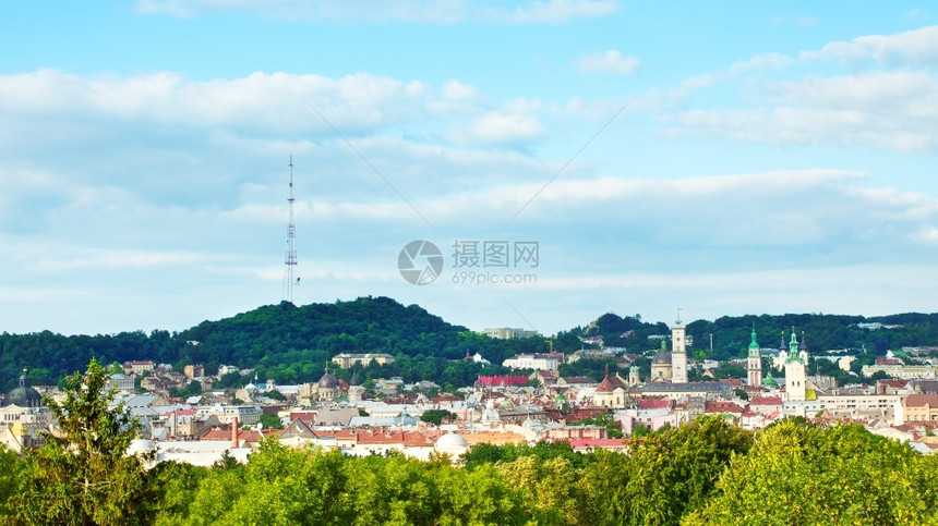 老的树乌克兰利沃夫夏日高角度视野中央图片