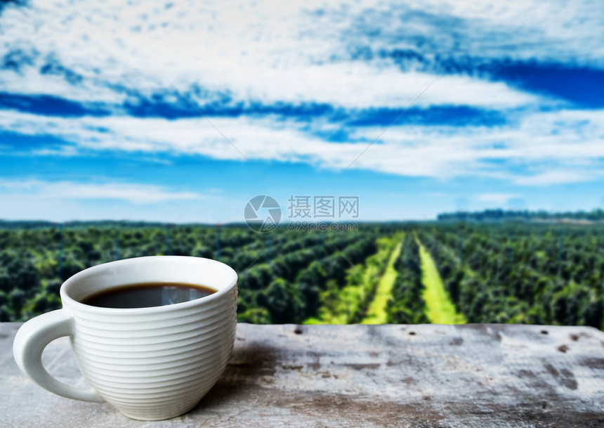 咖啡种植园的木地板上咖啡杯蓝色天空巴松和劳斯自然早晨山图片