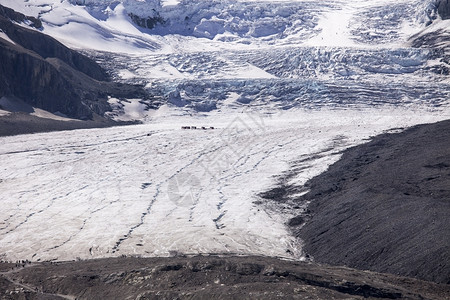 颜色阿塔巴斯卡冰川是由哥伦比亚冰雪田的落形成规模巨大可以显示其规模有一群卡车和人员在悬崖中还有第二组人位于冰川舌头上据说冰川深8背景图片
