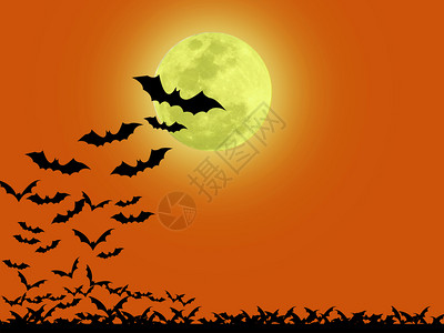 庆典万圣节的一天许多黑蝙蝠在橙色背景上万圣节夜月光下苍蝇微笑闹鬼背景图片