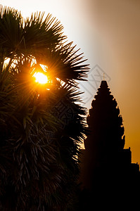 塔吴哥窟剪影树上的日出吴哥窟剪影上的树日出暹粒柬埔寨水建造图片