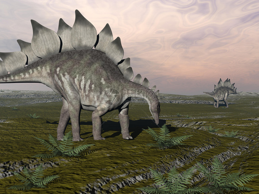 侏罗纪使成为一只海龙步行去吃植物另一只则远在沙漠中被日落的饥饿龙3D转化灭绝图片