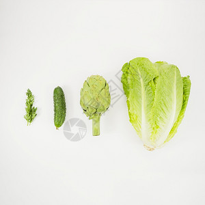 蔬菜莴苣烹饪生洋蓟黄瓜欧芹图片