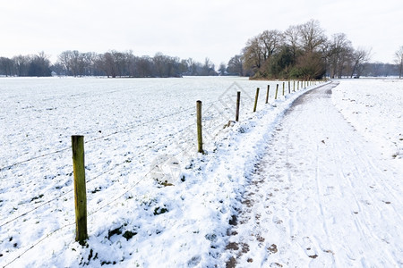 冬季牧草间以足行道的雪地景观早晨人行道边远图片