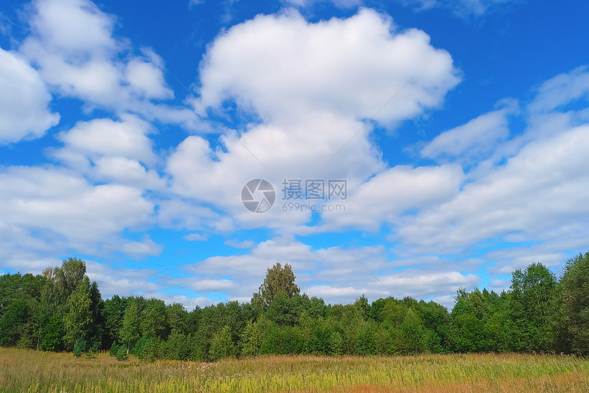景观绿色农村美丽的夏月风景有天空云草和树木图片