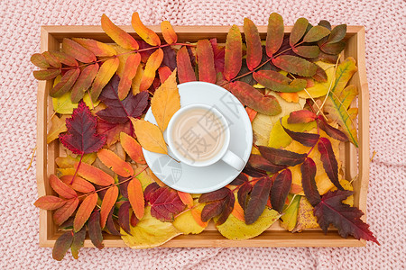 托盘上的多色秋叶和咖啡背景图片