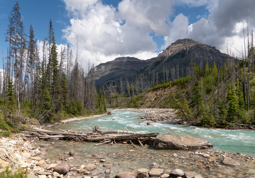 溪北加拿大不列颠哥伦比亚省Kootenay公园内平静河流景象的全图山脉图片