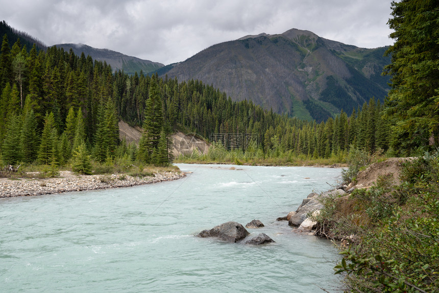 远足荒野加拿大不列颠哥伦比亚省Kootenay公园内平静河流景象的全图宁静图片