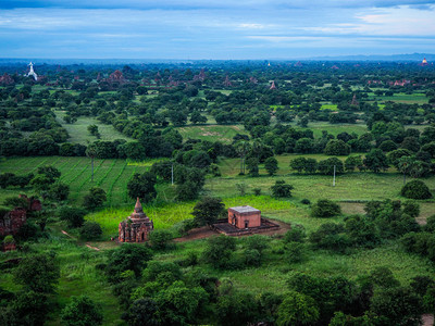 缅甸旧巴甘古老寺庙景观环境的绿化明亮图片