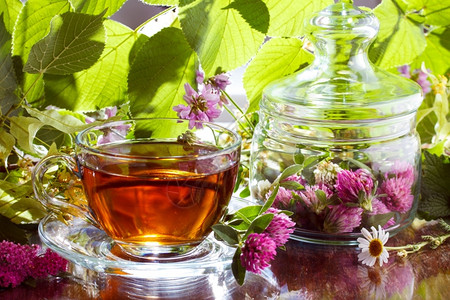 健康茶碗含三叶和甘菊的草药茶椴树图片