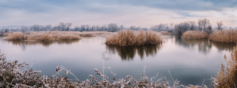 霜自然冬季湖岛群景观欧洲高清图片素材