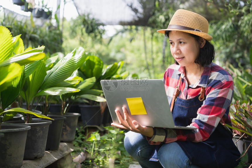 亚洲妇女正在使用笔记本电脑检查Ornamental植物商店的被小企业概念围裙花店自然图片