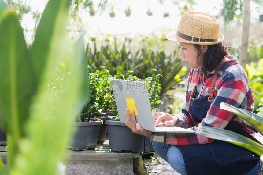 工作查看叶子亚洲妇女正在使用笔记本电脑检查Ornamental植物商店的被小企业概念图片