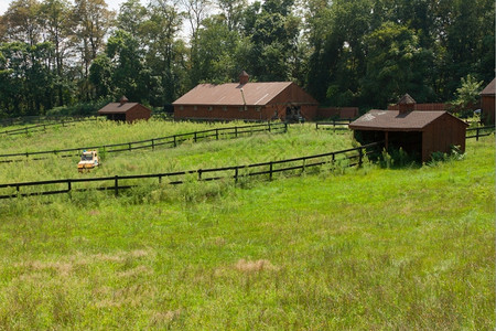 牧场景观夏天分割农田的木墙围栏图片