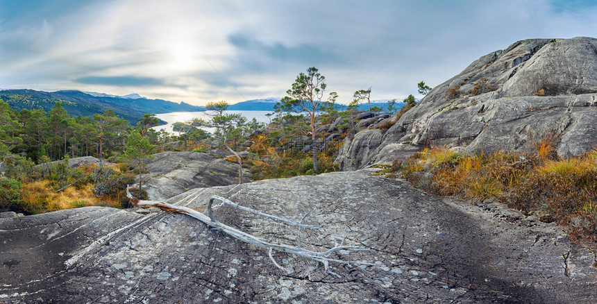 挪威北欧岩石和远处峡湾的全景地衣松树图片