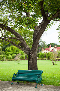 孤独一种坐在公园走廊一带的A座椅上在树下坐席退休图片