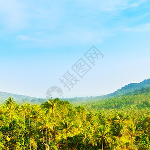 美丽的热带风景高角度视图泰国山蓝色的爬坡道高清图片