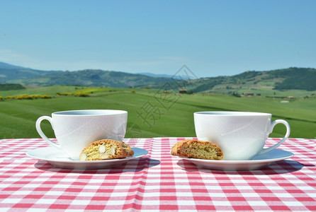 草与意大利图斯卡风景对抗的彩布上咖啡和坎通尼绿色饼干图片