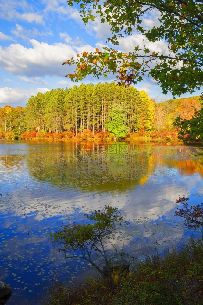 外部树叶与森林湖的秋天风景奥尔洛夫图片